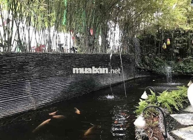 👉Cần sang lại quán cafe 1200m2 ở Thủ Đức 🟠