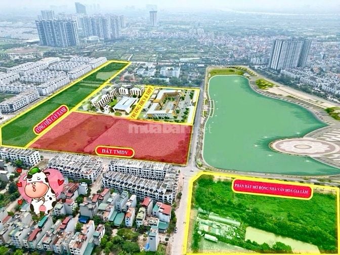 Mặt phố Nguyễn Mậu Tài, Liền kề Vỉa hè đường 25m - 80m2 - MT 5m