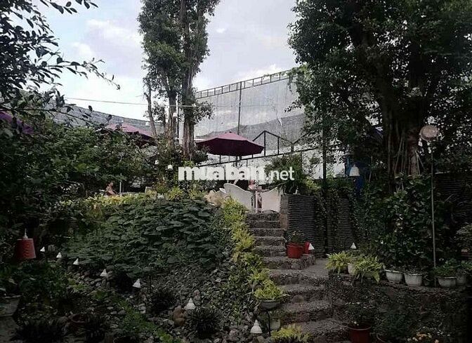 👉Cần sang lại quán cafe 1200m2 ở Thủ Đức 🟠