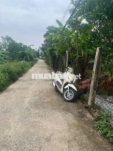 BÁN ĐẤT NÔNG NGHIỆP VẠN PHÚC (ĐẤT TRỒNG CÂY LÂU NĂM) Ô TÔ ĐỖ CỔNG