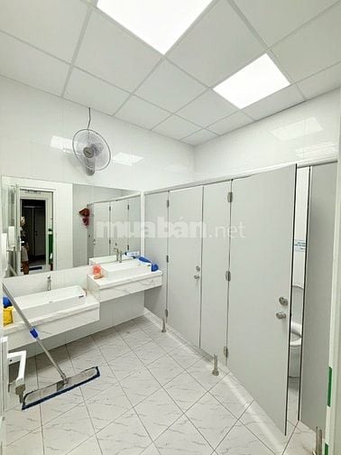 ⭐️Cho thuê nhà Mặt tiền DT:11x45m số 305 Nguyễn Văn Khối, P8, Q.