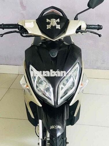 Nouvo 4 vàng Nâu bstp