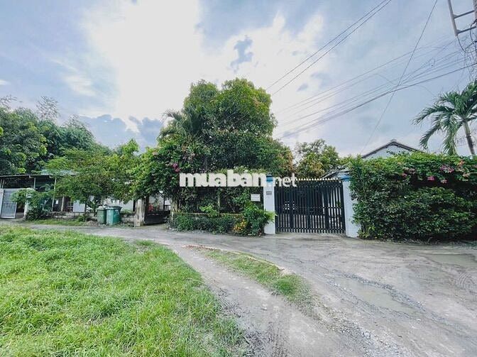 Bán đất 156m2 - Nguyễn Văn Khạ - Tân An Hội - Củ Chi . Giá 1tỷ100