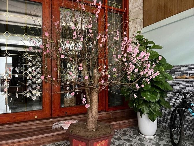 Cho thuê Nhà tổ 6 F. Trần Lãm, TP Thái Bình, mặt phố Phạm Huy Quang