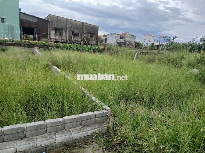 Cc cần bán nhanh 88m2 đất ở, kiệt ô tô tại khu chợ đêm điện nam trung