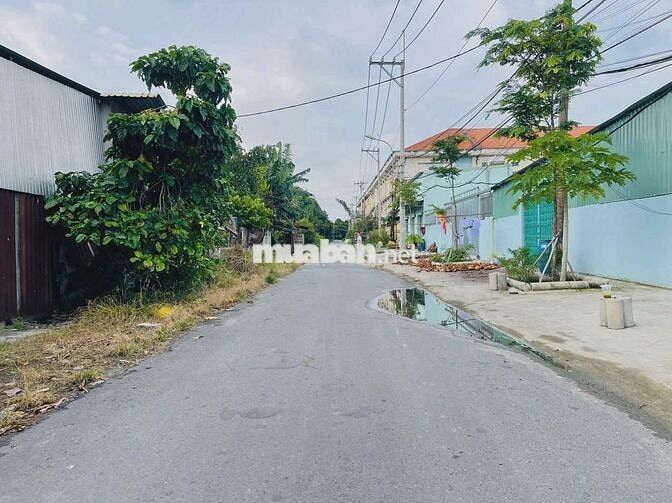 Bán đất 156m2 - Nguyễn Văn Khạ - Tân An Hội - Củ Chi . Giá 1tỷ100