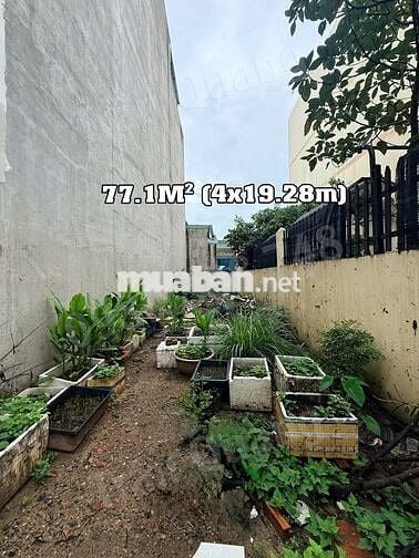 BÁN ĐẤT ĐƯỜNG 39, LINH ĐÔNG – 77.1M² (4x19.28m) – GIÁ 6.8 TỶ
