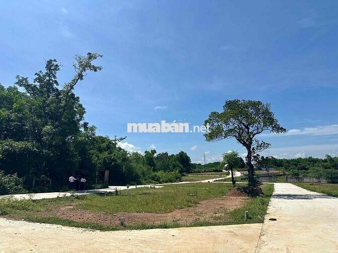Đất khu dân cư Dạ Lê với 102m2