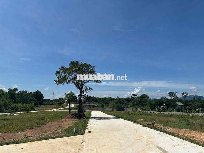 Đất khu dân cư Dạ Lê với 102m2