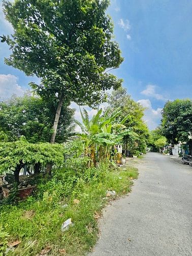 Bán lô đất trục chính hẻm 114 đường Ngô Chí Quốc, P. Tam Bình