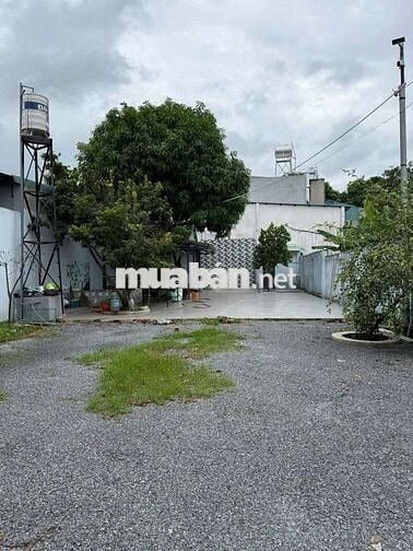 Bán đất mặt tiền ĐX106 P.Chánh Hiệp Thủ Dầu Một, 370m² thổ cư giá rẻ