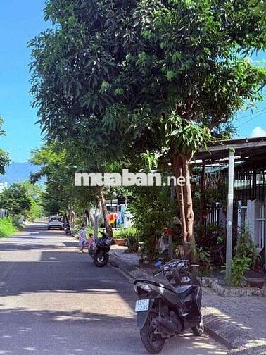 ĐÀO NGỌC CHUA SÁT LÔ GÓC RẺ NHẤT THỊ TRƯỜNG