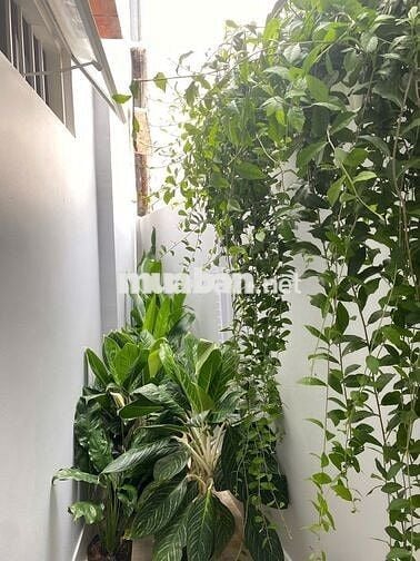 Bán nhà hẻm xe hơi nhỏ đường Nguyễn An Ninh, Vũng Tàu