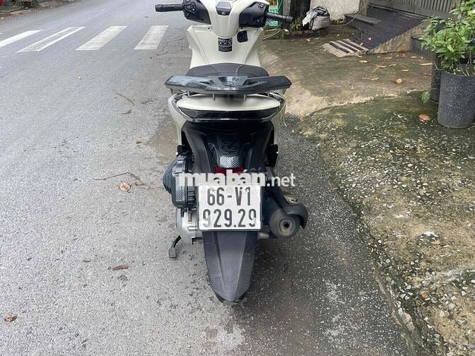 sh 2023 biển siêu vip