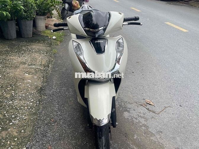 sh 2023 biển siêu vip