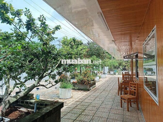 Cần ra nhanh mảnh đất đang kinh doanh ăn uống