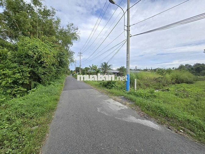 Chính chủ  bán đất đường Phạm Thị Thàng, Phước Hiệp,  Củ Chi, 401m2
