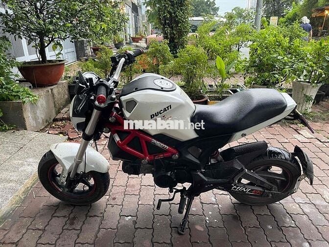 Xe ducati mini