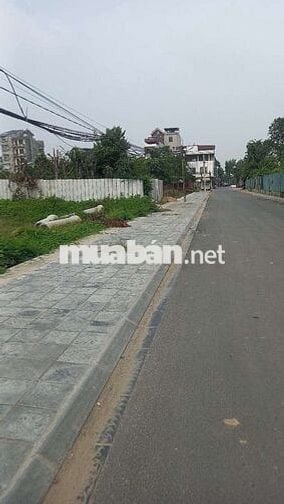 Đất 50 năm sẵn sổ đỏ 257m mặt đường nhựa container