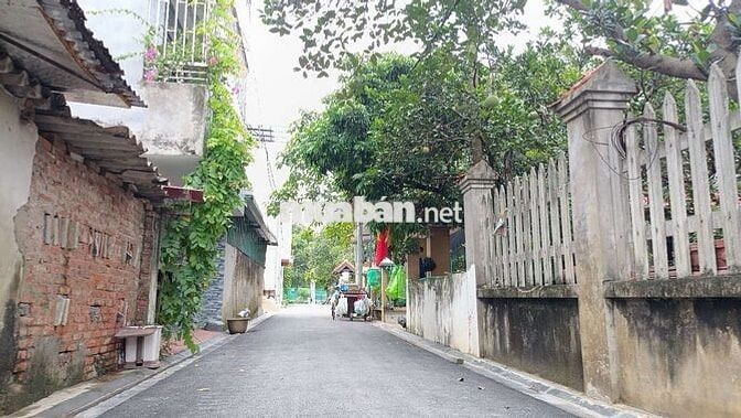 Bán đất Tằng My Nam Hồng vị trí vàng trung tâm sát mặt phố 65m