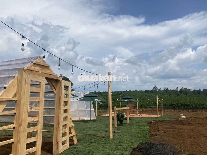 CẦN TIỀN GẤP BÁN GẤP LÔ ĐẤT 2 MẶT TIỀN ĐƯỜNG NHÀ NƯỚC