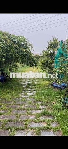 mặt tiền 25C giai đoạn 3 tháng 12 có quyết định nhận đền bù