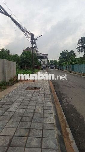 Đất 50 năm sẵn sổ đỏ 257m mặt đường nhựa container