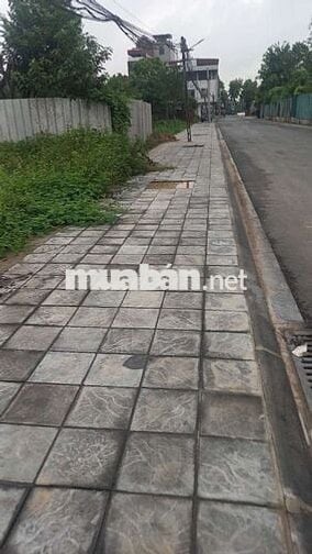 Đất 50 năm sẵn sổ đỏ 257m mặt đường nhựa container