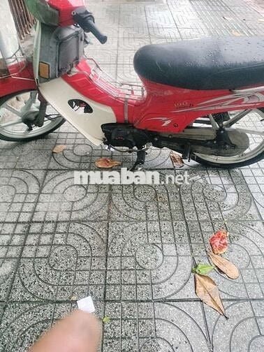 Cần bán xe max 50 máy êm bảng số TP
