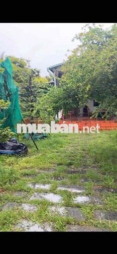 mặt tiền 25C giai đoạn 3 tháng 12 có quyết định nhận đền bù