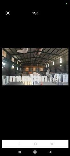 Cho Thuê Bãi 4500m giá 200triệu