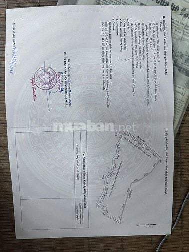 giá bán 4 tỷ 500 trên 1 ha, tổng diện tích 8ha
