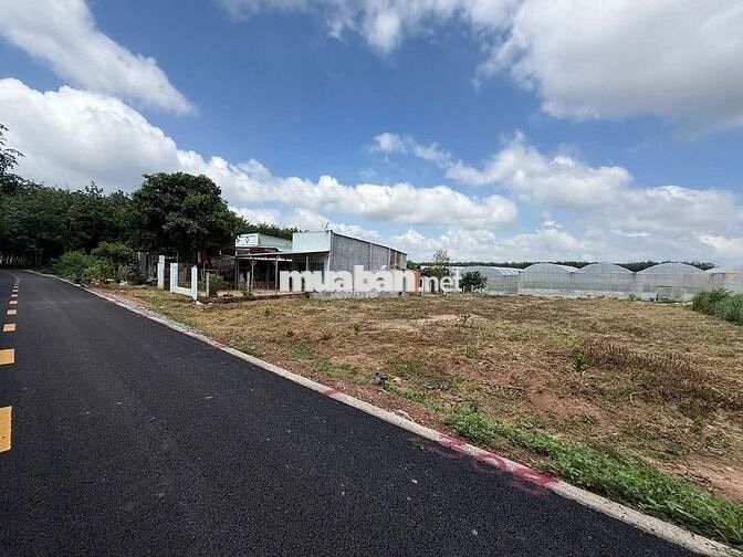 BÁN NHANH LÔ ĐẤT XÀO 1330m2 NỞ HẬU 26m2   – NGAY TRUNG TÂM PHÚ GIÁO