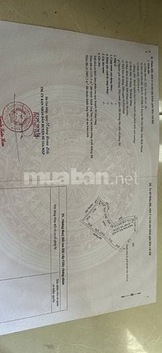 giá bán 4 tỷ 500 trên 1 ha, tổng diện tích 8ha