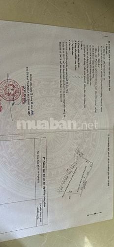 giá bán 4 tỷ 500 trên 1 ha, tổng diện tích 8ha