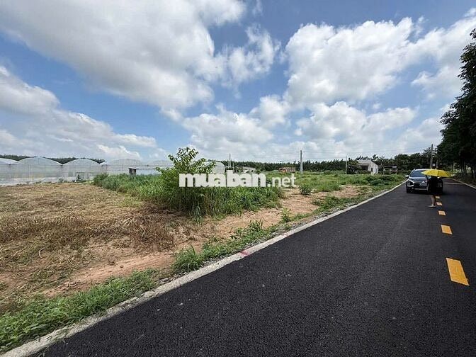BÁN NHANH LÔ ĐẤT XÀO 1330m2 NỞ HẬU 26m2   – NGAY TRUNG TÂM PHÚ GIÁO