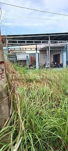 Bán Đất Cần Đước chính chủ Cô Linh