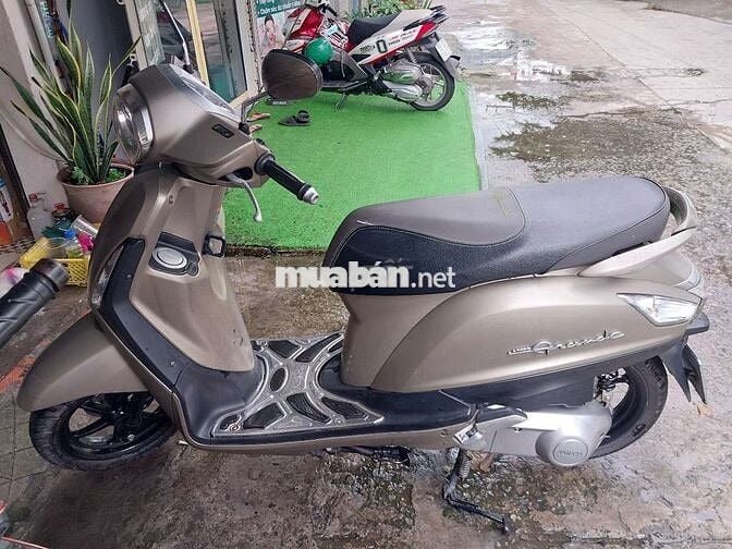 Grande fi máy zin bstp chứng giấy