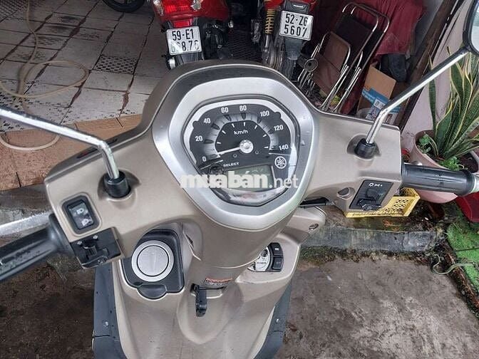 Grande fi máy zin bstp chứng giấy