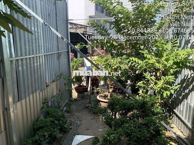 Bán Đất + Nhà 155,9 m2, nở hậu. Full Thổ Cư, Hẻm 12 Đường số 05, P17