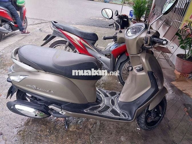 Grande fi máy zin bstp chứng giấy