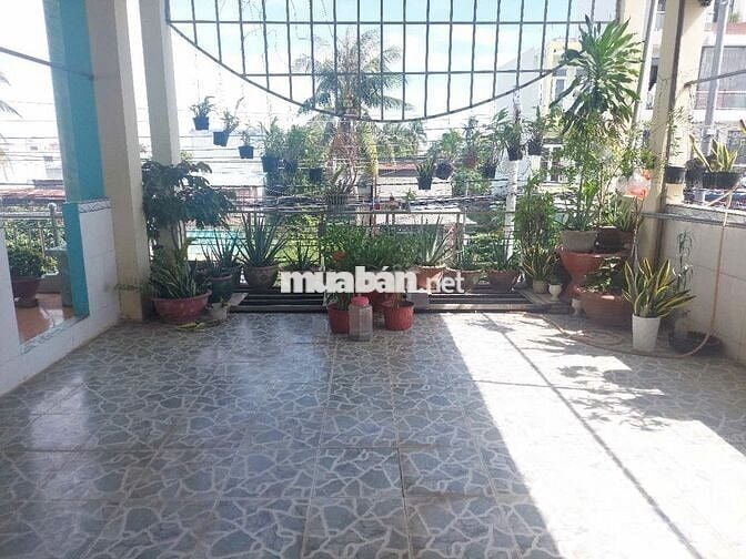 BÁN NHÀ ĐƯỜNG NGUYỄN TRI PHƯƠNG 246,3m2