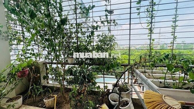 Cho thuê nhà 3 tầng phù hợp hộ gia đình khu Vĩnh Tuy, 156m2, 3 ngủ,2wc