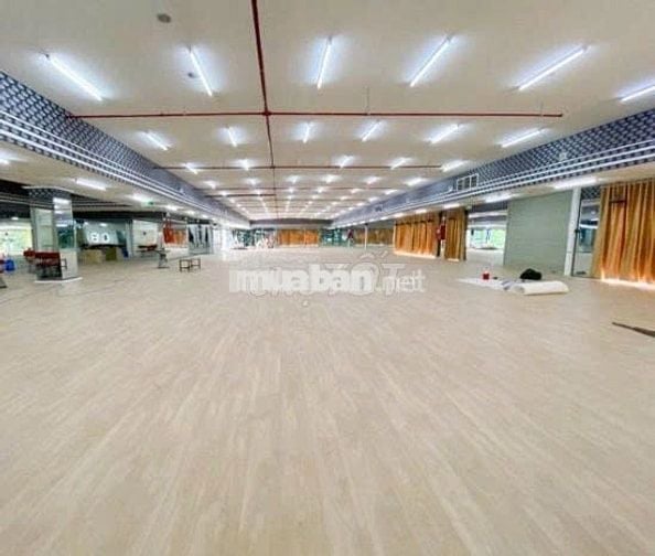 Cho thuê nhà Mặt tiền Bạch Đằng, Phường 2, Q. Tân Bình Ngay Sân bay