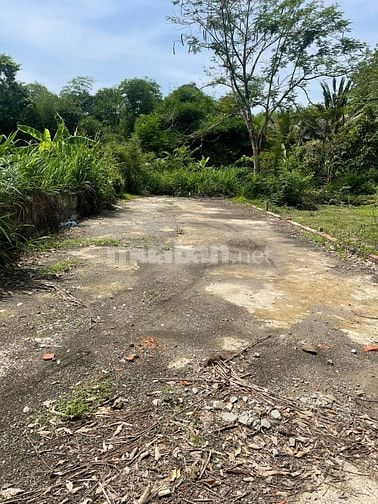 Bán Gấp 132m2 tân định 006 ngay khu dân cư Đại Nam Sát Ql13 790 triệu
