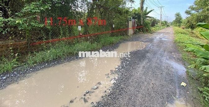 Bán lô đất lớn 2000m2 (ngang 23,52m) tại hẻm xe tải Trần Văn Giàu, BC