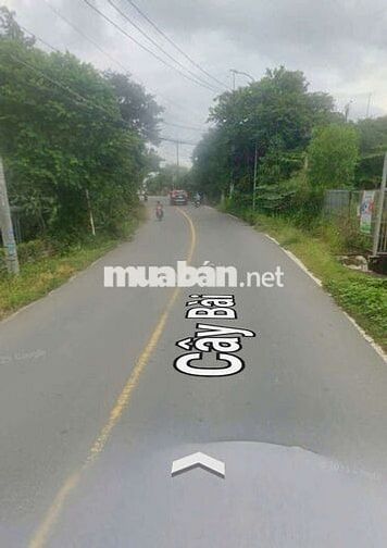 2730m2 đất có 300m2 thổ cư mặt tiền Cây Bài-Phước Vĩnh An-Củ Chi. 13ty