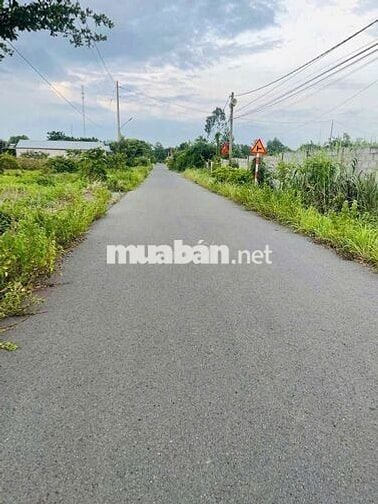 Bán đất châu pha, đường nhựa 7m, khu dân cư, dt: 5x40x100tc