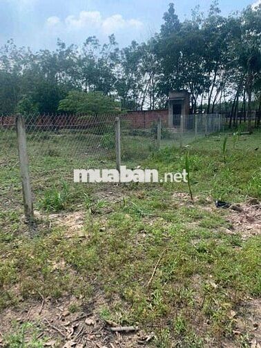 Đất thổ cư mt Hà Thị Kiểm-Phú Mỹ Hưng-Củ Chi.Dt 29x59~1711m2~6,8ty