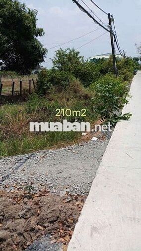 Chính Chủ_đất nhà có được 10tr nhà Vườn Sinh thái An nhàn HƯNG LONG BC